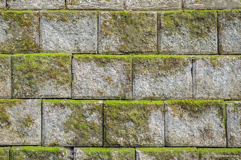 Antimousse fongicide  pour le traitement préventif et curatif des murs en pierres naturelles